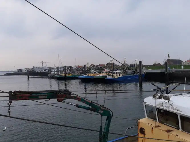 Trawler til salg