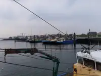 Trawler til salg
