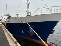 General Cargo/Multi-purpose til salg