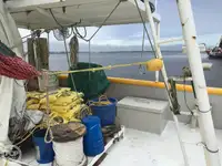Trawler til salg