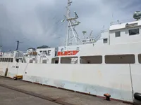 Langliner til salg