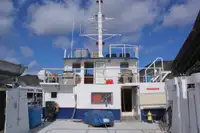 Katamaran til salg