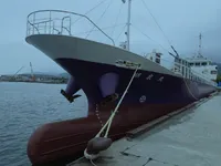 General Cargo/Multi-purpose til salg