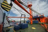 Containerskib til salg