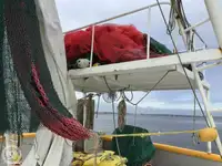 Trawler til salg