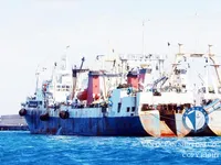 Trawler til salg