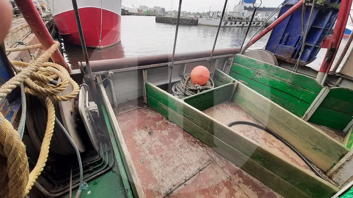 Levende fisketransportskib til salg