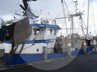 Beam-trawler til salg