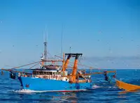 Trawler til salg