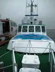 Pilotbåd til salg