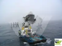 Trækbåd til salg