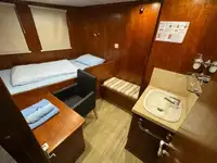 Containerskib til salg