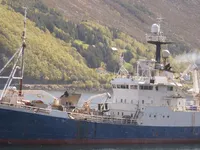 Trawler til salg