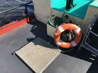 Slæbebåd til salg