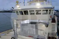 Levende fisketransportskib til salg