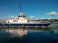 Katamaran til salg