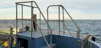 Containerskib til salg