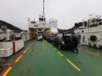 Ro-Ro-skib til salg