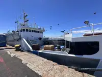 Trawler til salg