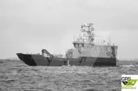 Containerskib til salg