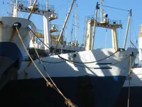 Trawler til salg