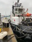 Bugserbåd til salg