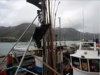 Trawler til salg
