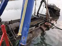 Dredge til salg