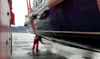 Arbejdsbåde til salg