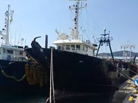 Trawler til salg