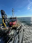 Arbejdsbåde til salg