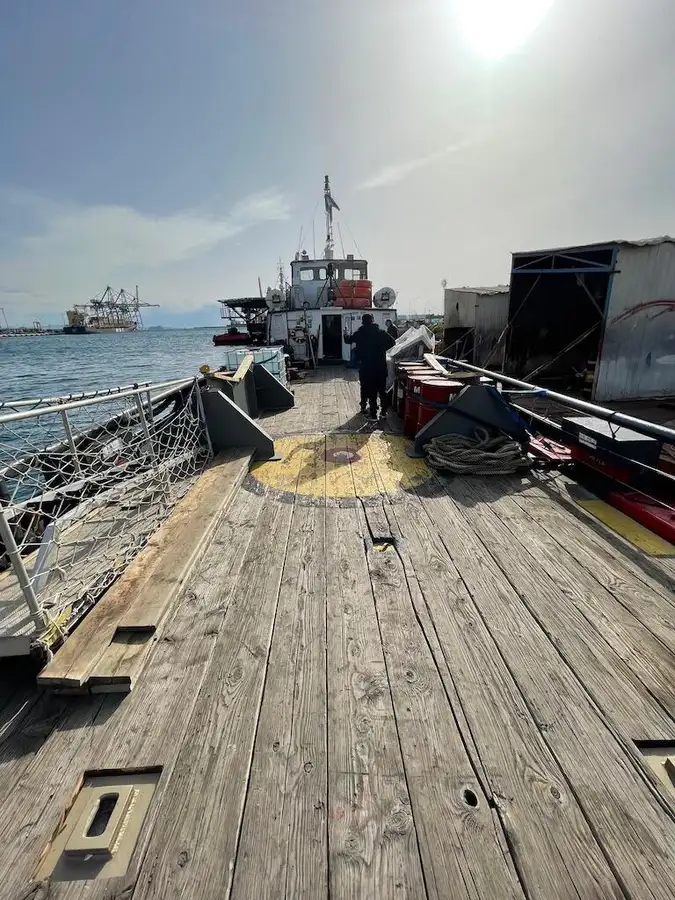 Containerskib til salg