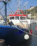 Trawler til salg