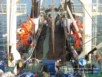 Trawler til salg