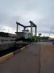 Katamaran til salg