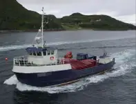 Arbejdsbåde til salg