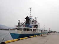 General Cargo/Multi-purpose til salg