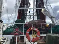 Trawler til salg
