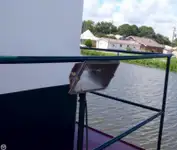 Bugserbåd til salg