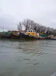 Trækbåd til salg