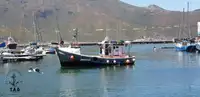 Trawler til salg
