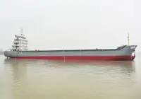 Containerskib til salg