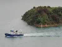 Katamaran til salg