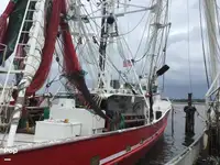 Trawler til salg