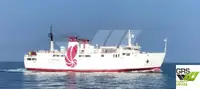 Ro-Ro ship til salg