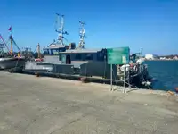 Containerskib til salg