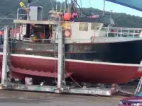 Langliner til salg