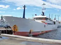 Langliner til salg