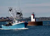 Purse seiner til salg