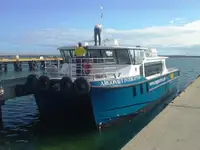 Katamaran til salg